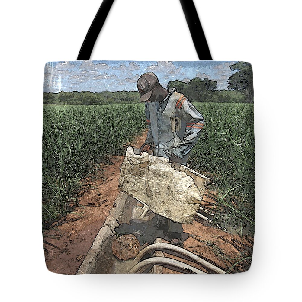 African Tote Bag featuring the photograph Raising Cane by Al Harden