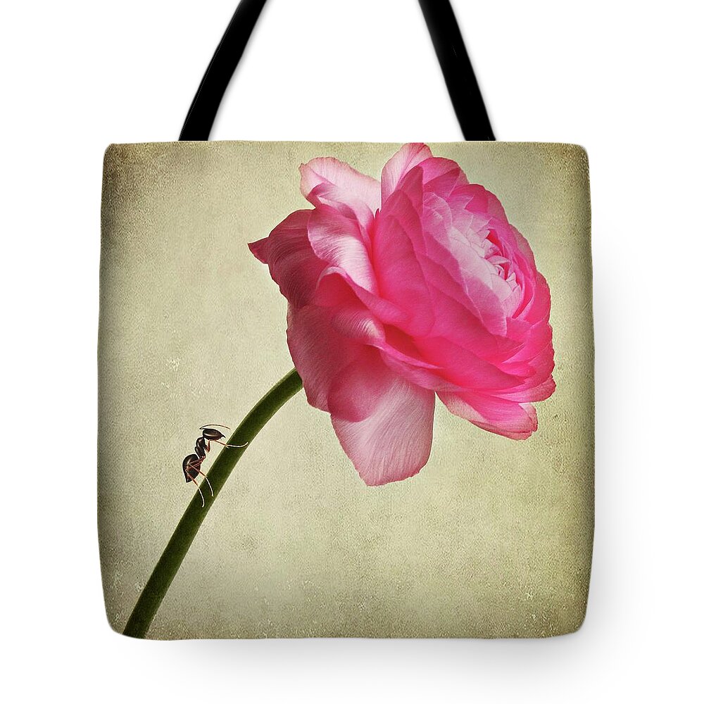 Insect Tote Bag featuring the photograph Ranunculus by Jasenka Arbanas