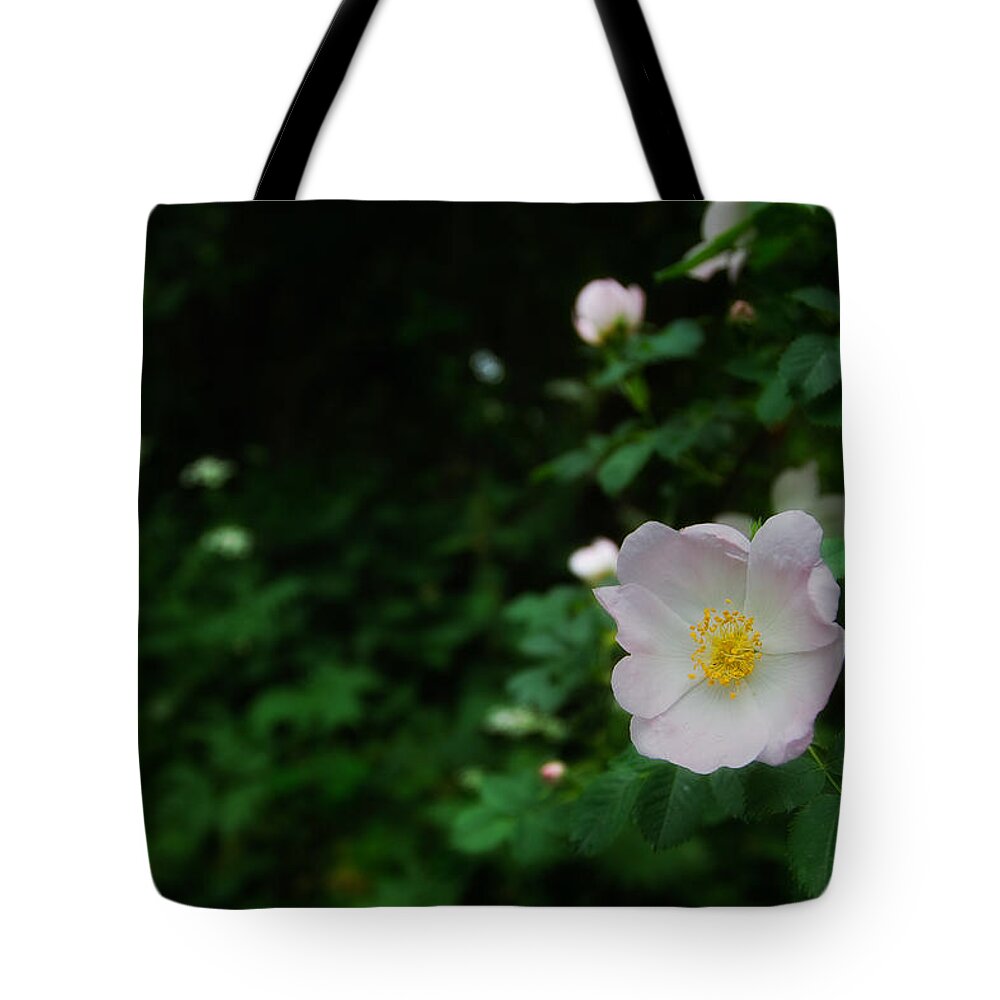 Europe Tote Bag featuring the photograph Ranunculus by Roberto Pagani