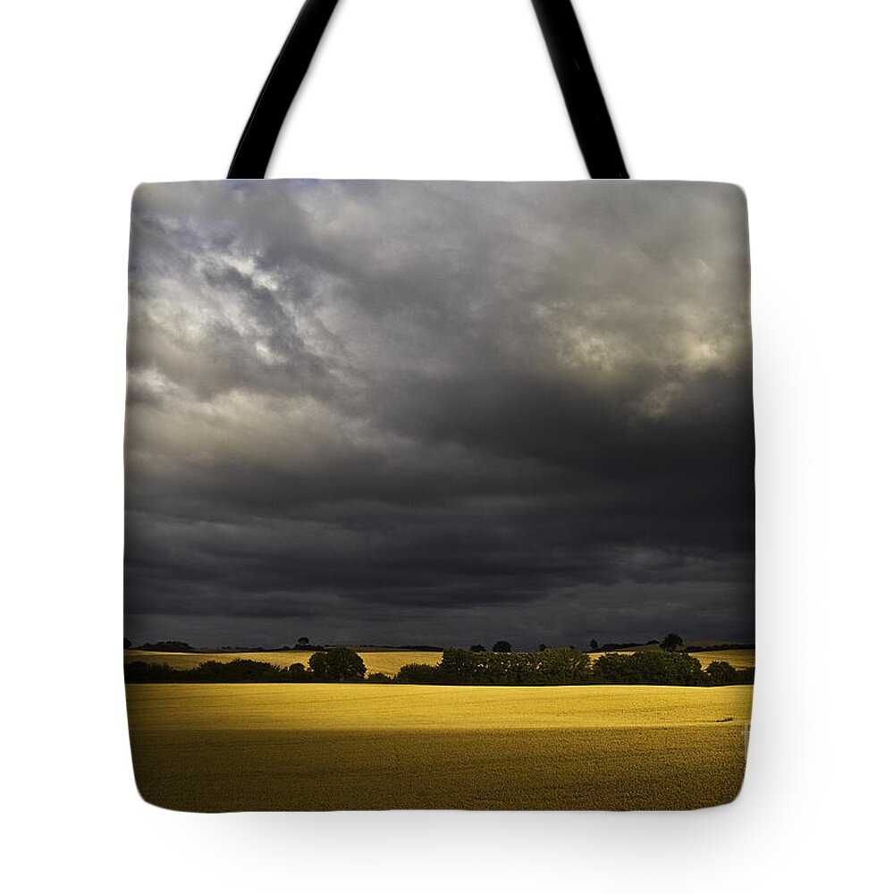 Rapefield Tote Bag featuring the photograph Rapefield Under Dark Sky by Heiko Koehrer-Wagner