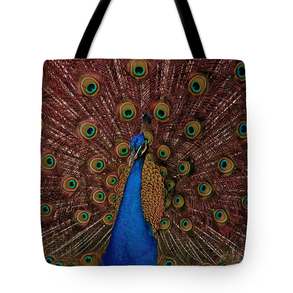 Peacock Tote Bag featuring the photograph Rare pink tail peacock by Eti Reid