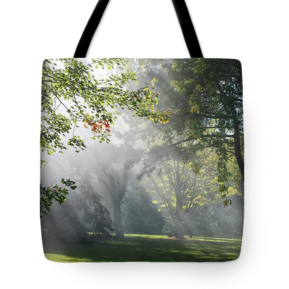 Sunshine Tote Bag featuring the photograph Rays in the Haze by Peggy King