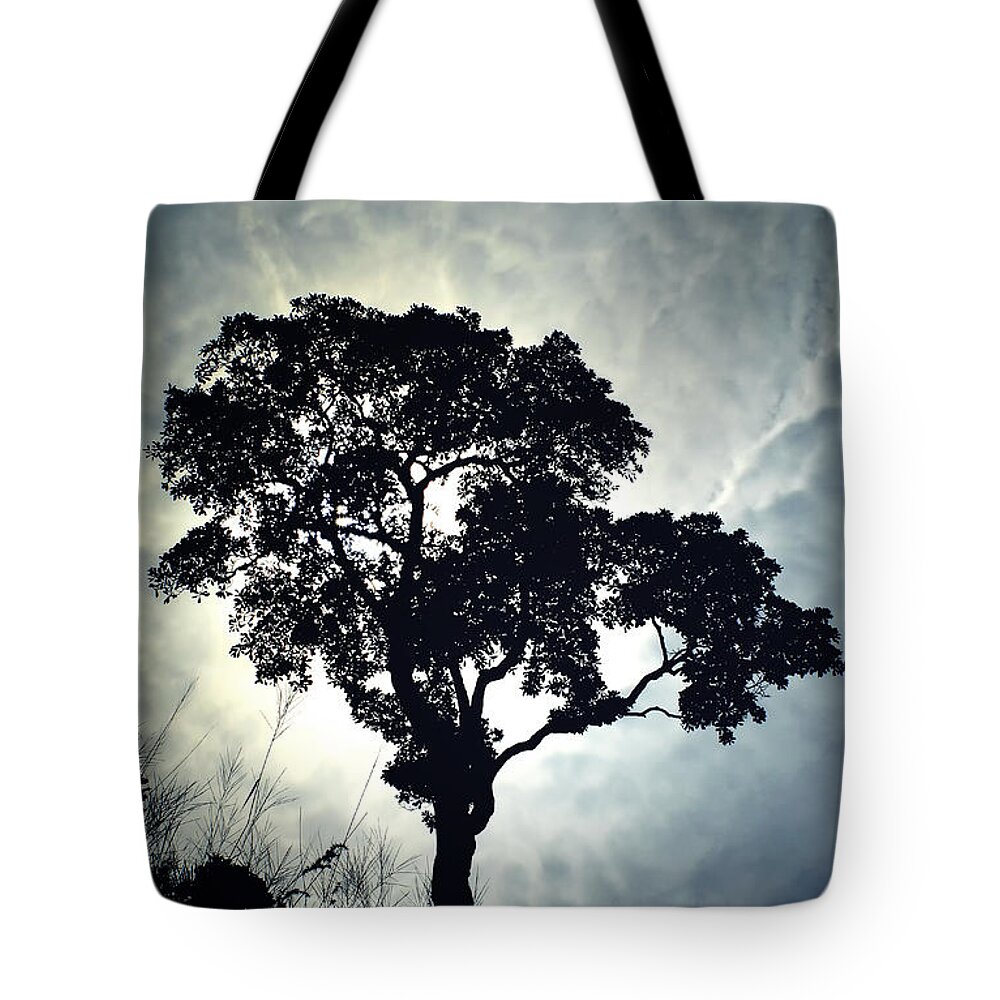 Thailand Tote Bag featuring the photograph Reach For The Sky .. by A Rey