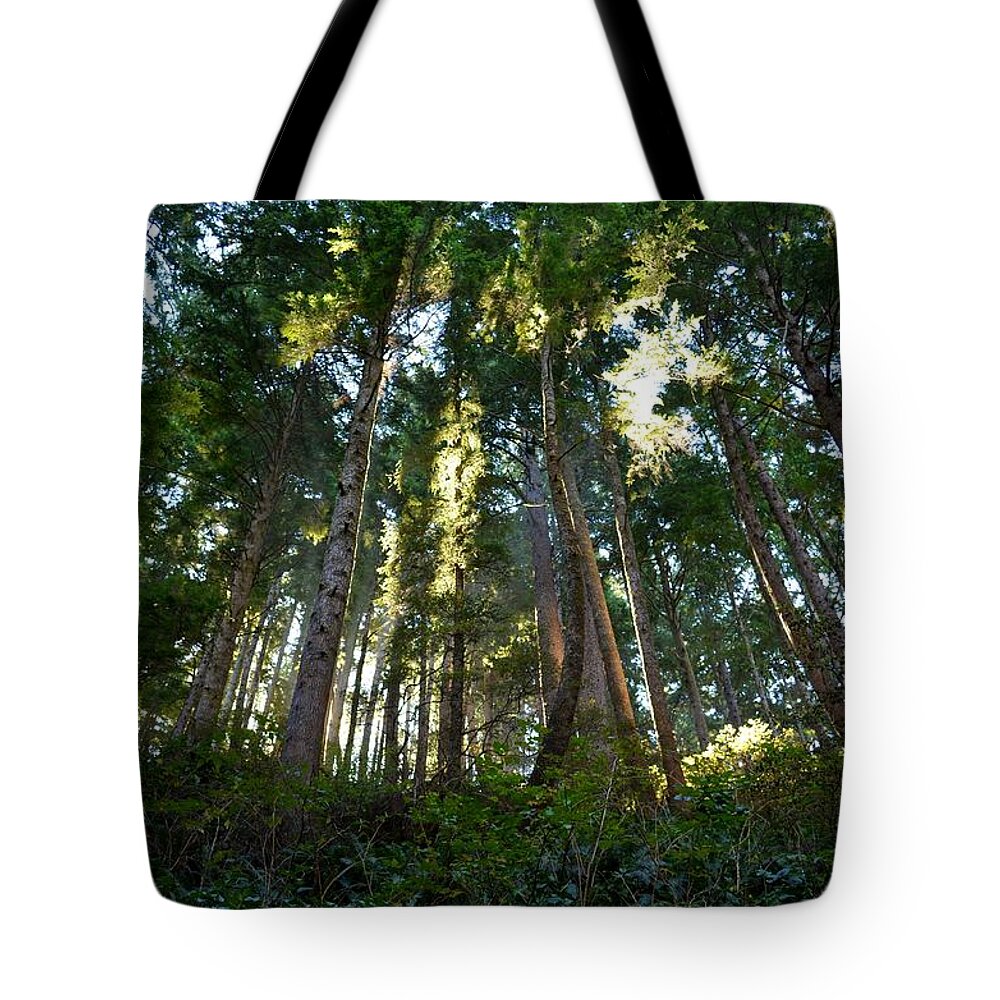 Old Growth Tote Bag featuring the photograph Reach for the Sky by Laureen Murtha Menzl