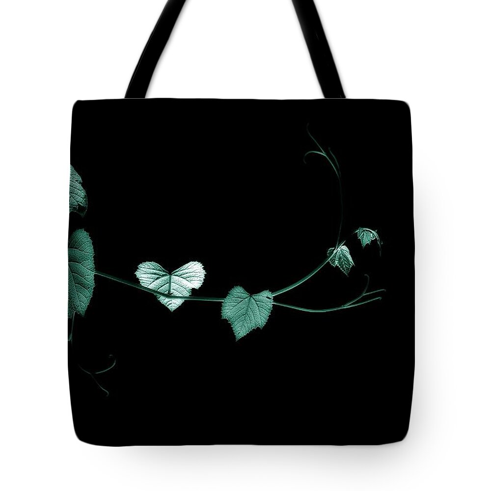Plant Tote Bag featuring the photograph Reach Out and Touch Me by Mark Fuller