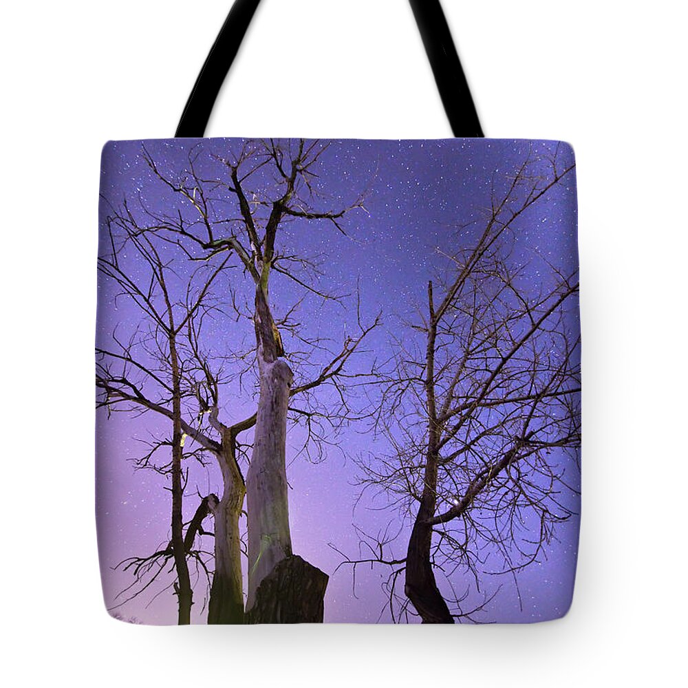 Stars Tote Bag featuring the photograph Reaching To The Stars by James BO Insogna