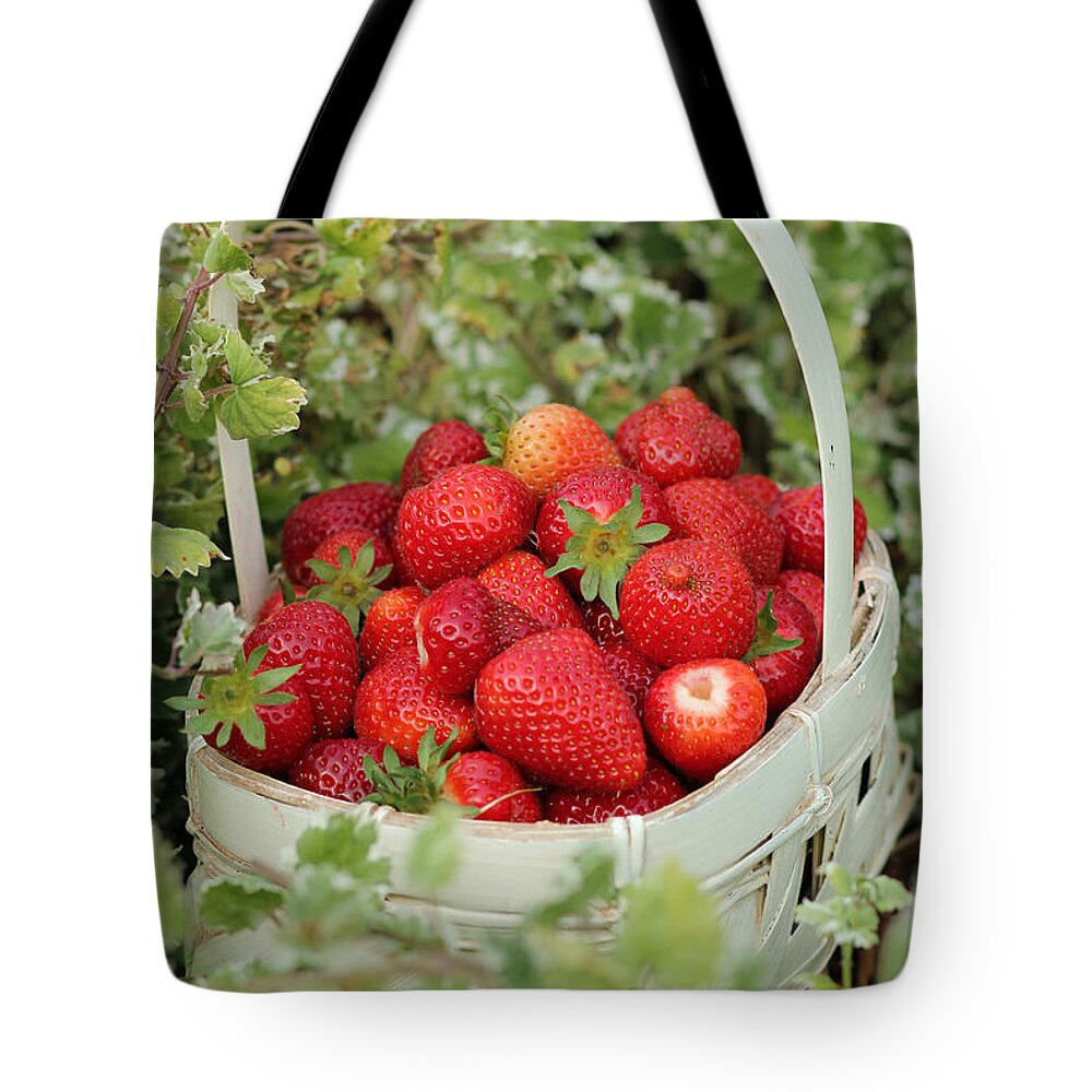 Red Tote Bag featuring the photograph Ready for Market by E Faithe Lester