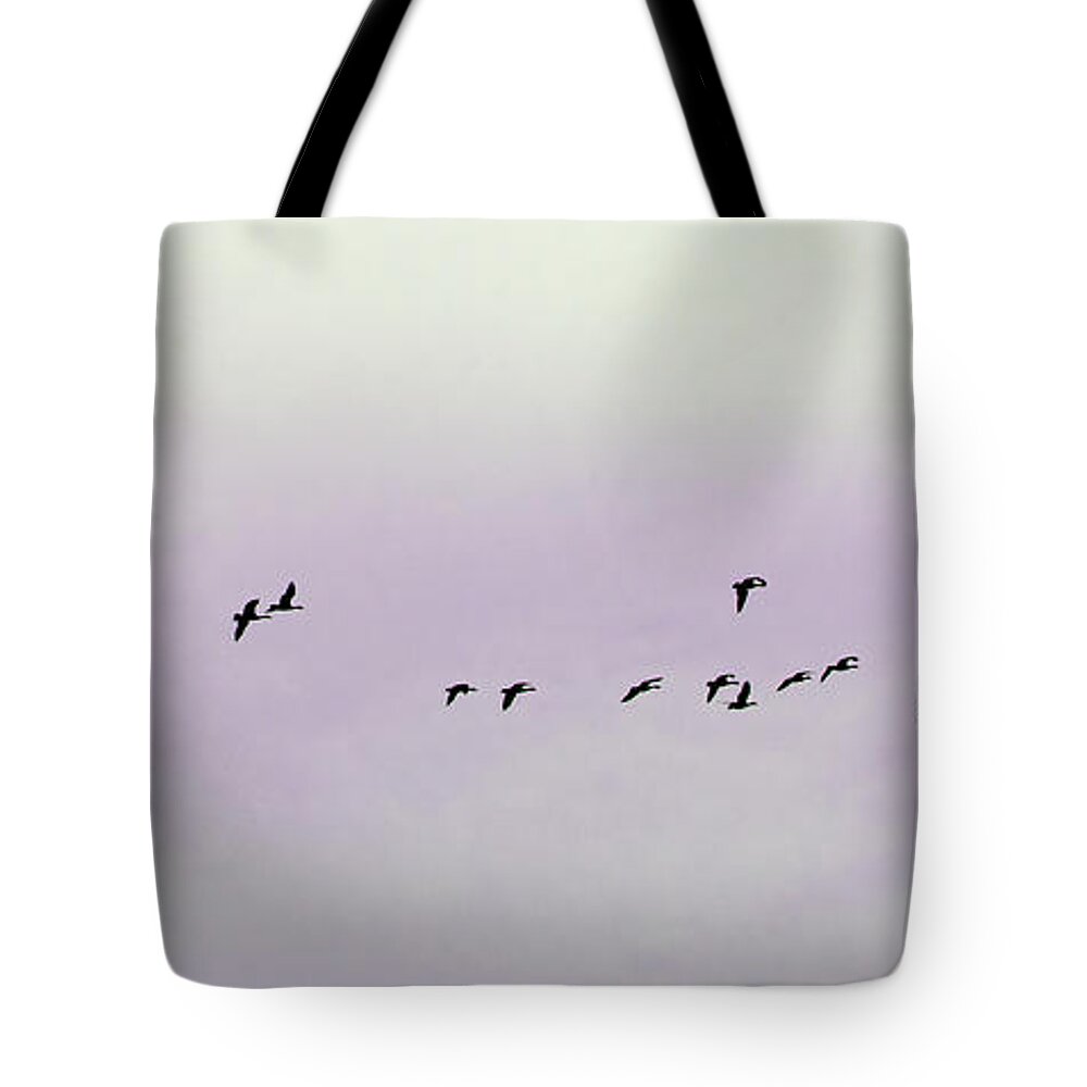 Migration Tote Bag featuring the photograph Ready To Migrate by Susan McMenamin