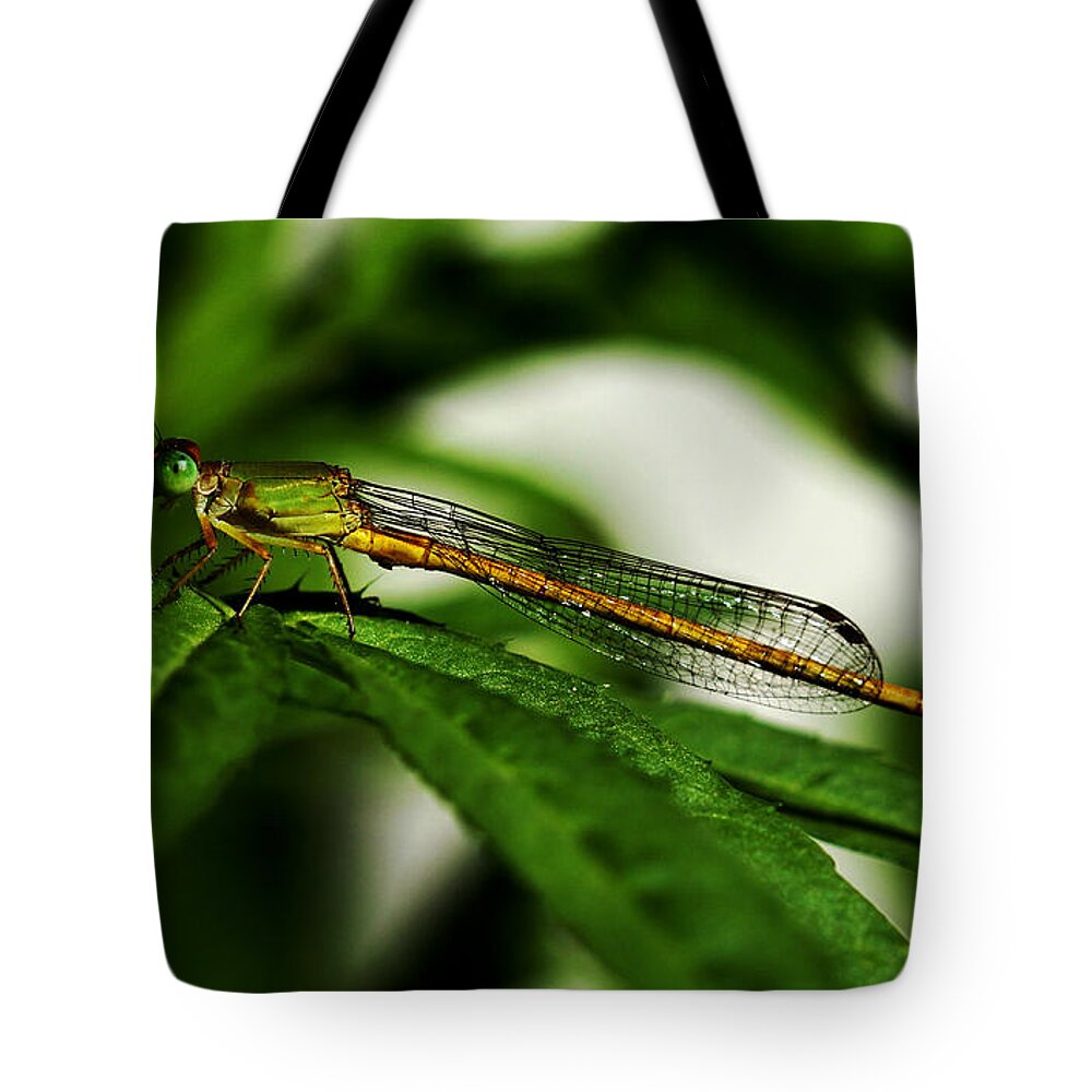 Green Tote Bag featuring the photograph Ready to Take Off - Damselfly by Ramabhadran Thirupattur