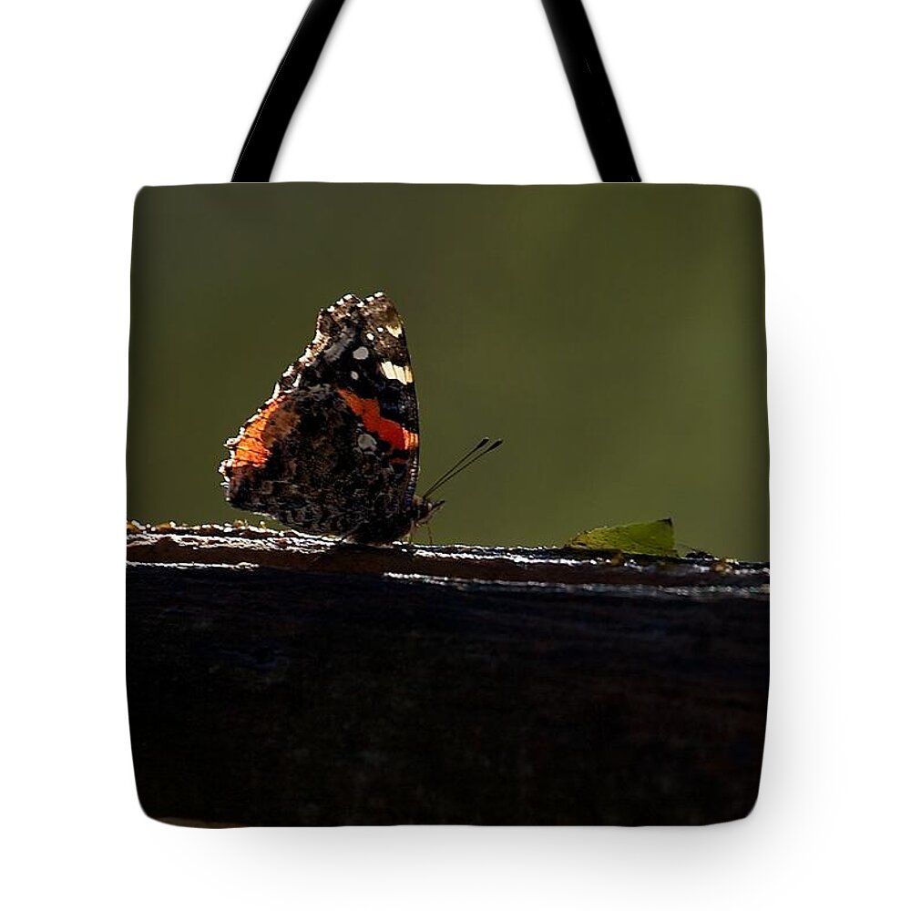 Red Admiral Tote Bag featuring the photograph Red Admiral Butterfly by Stuart Litoff