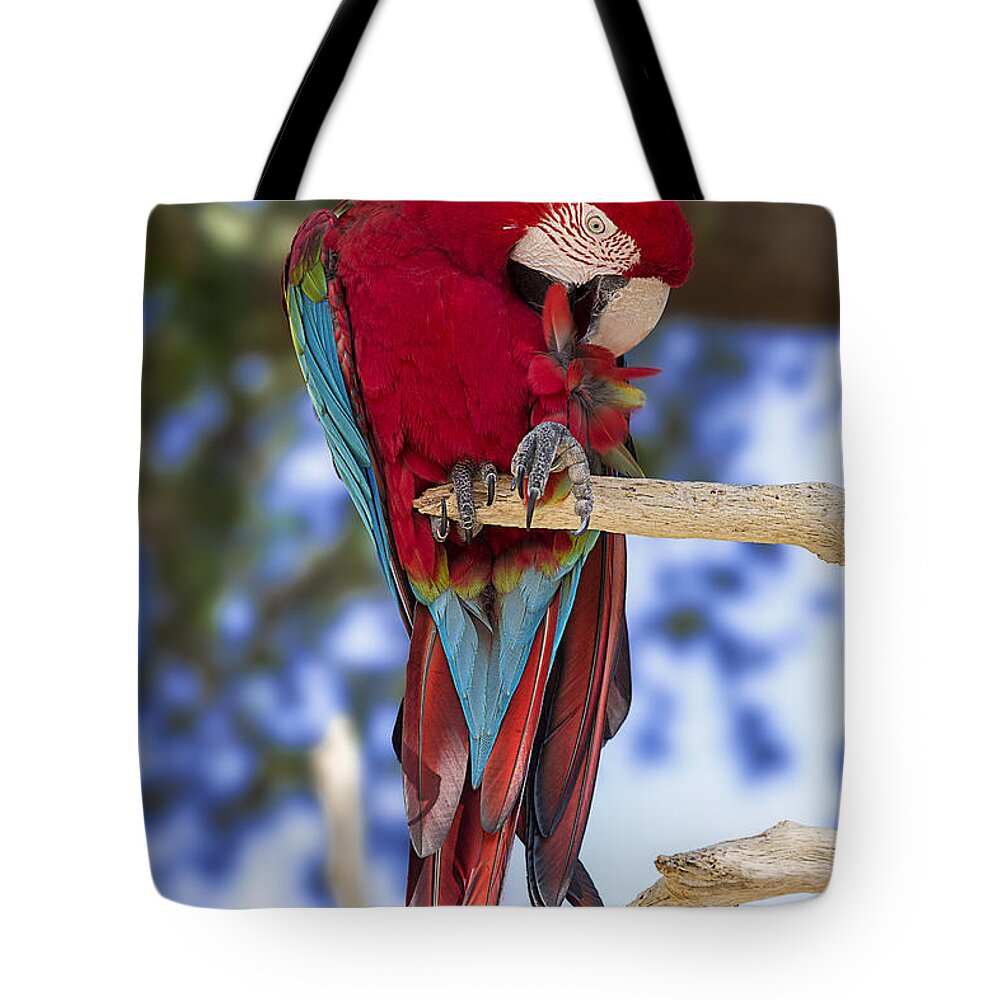 Bird Tote Bag featuring the photograph Red and Green Macaw by Bill and Linda Tiepelman