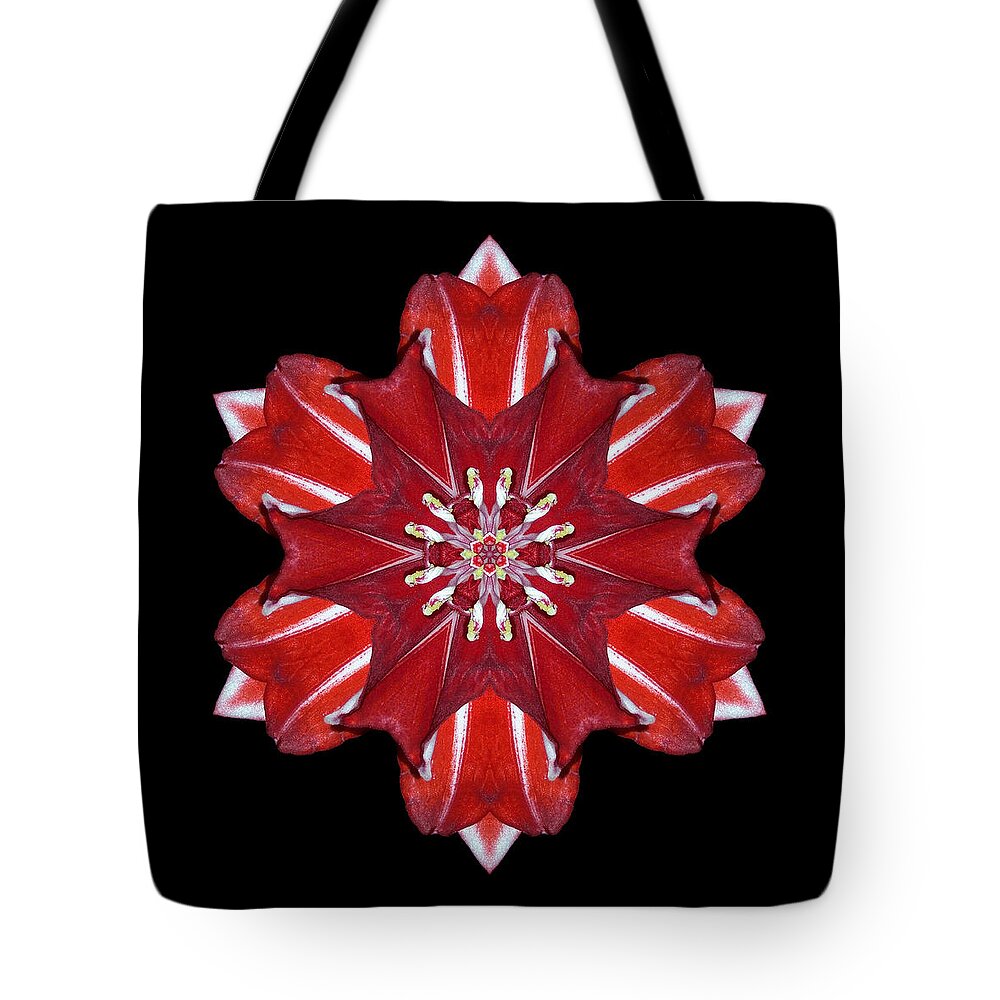 Flower Tote Bag featuring the photograph Red and White Amaryllis VII Flower Mandala by David J Bookbinder