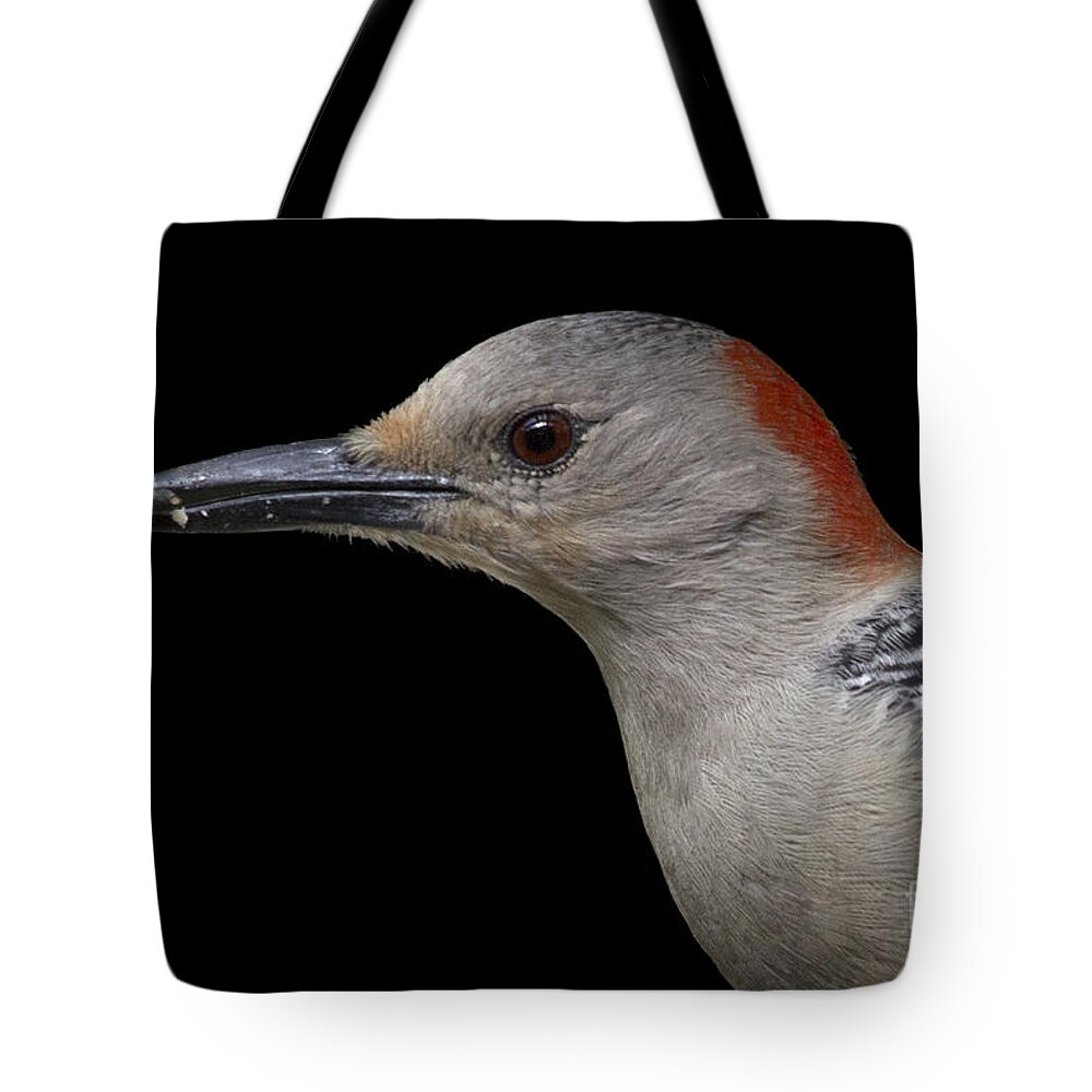 Red-bellied Woodpecker Tote Bag featuring the photograph Red-bellied Woodpecker by Meg Rousher