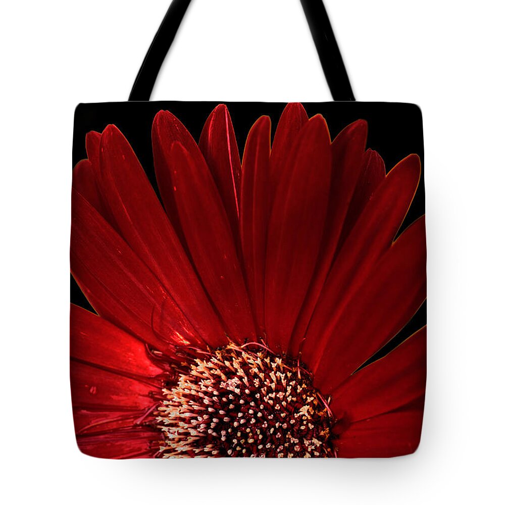 Red Tote Bag featuring the photograph Red Black by John Magyar Photography