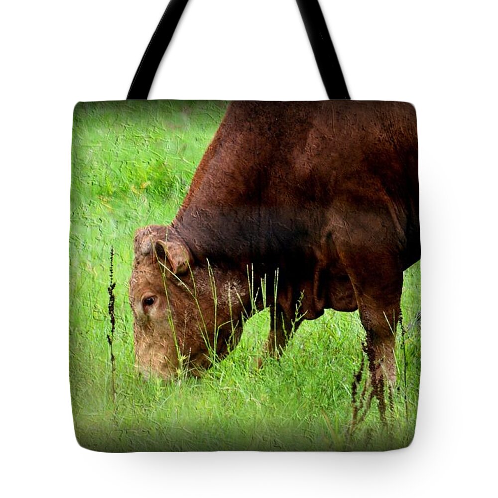 Red Brangus Bull Tote Bag featuring the photograph Red Brangus Bull by Maria Urso