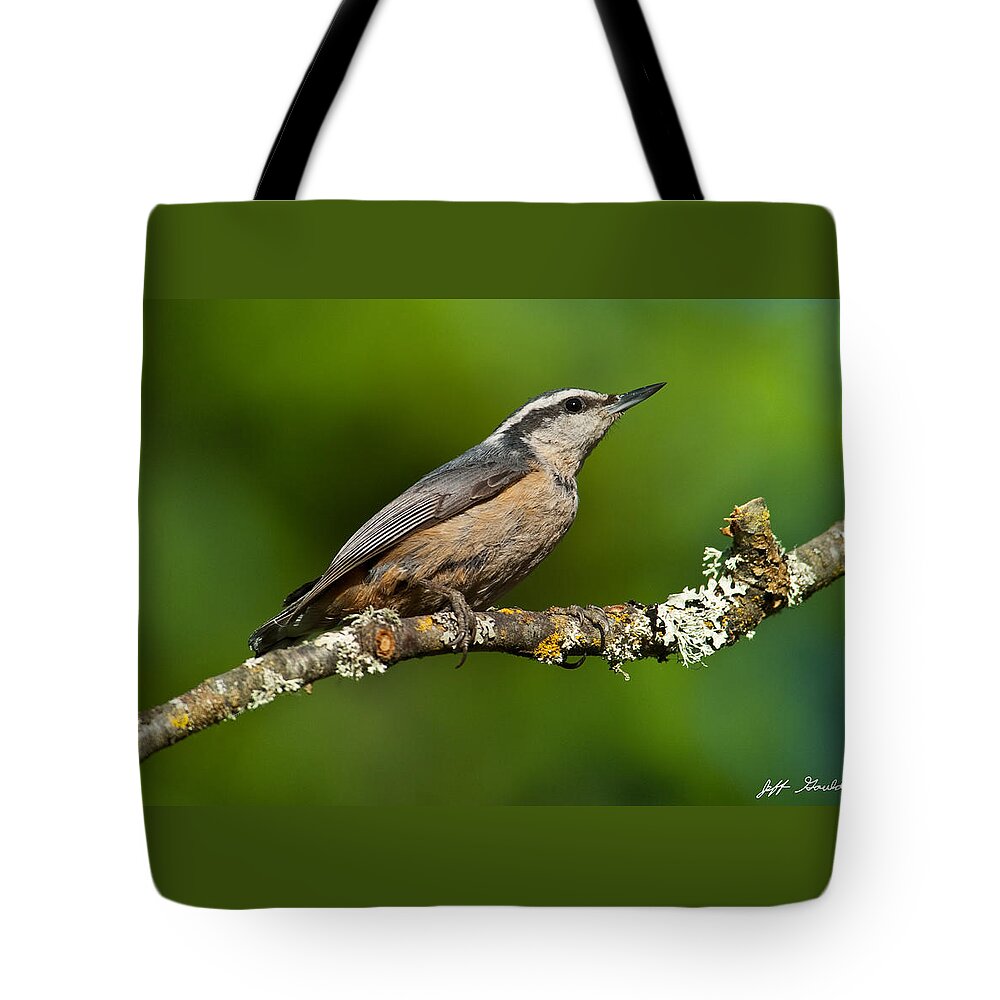 Animal Tote Bag featuring the photograph Red Breasted Nuthatch in a Tree by Jeff Goulden