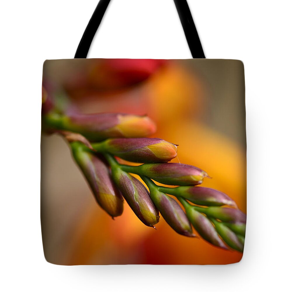 Red Tote Bag featuring the photograph Red Buds Macro by Bob VonDrachek