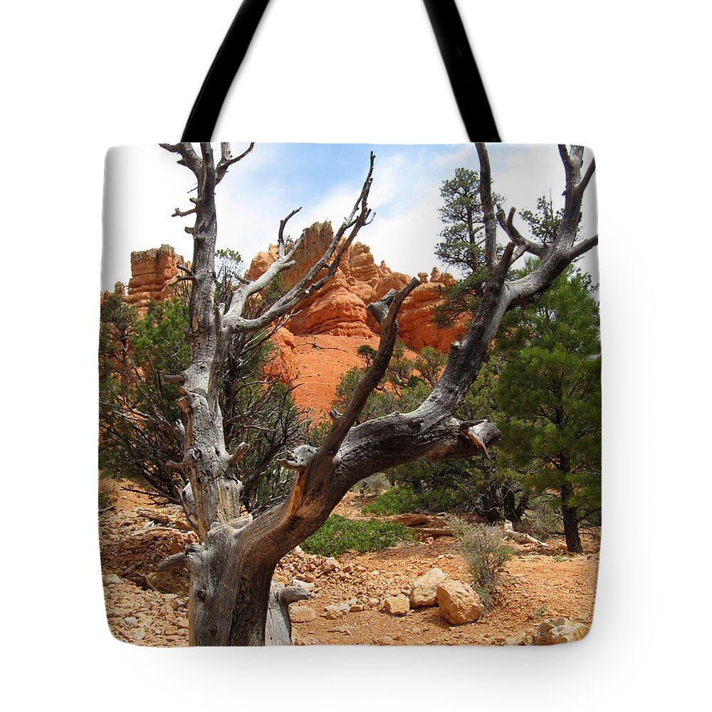 Red Canyon Tote Bag featuring the photograph Red Canyon Tree And Rocks by Debra Thompson