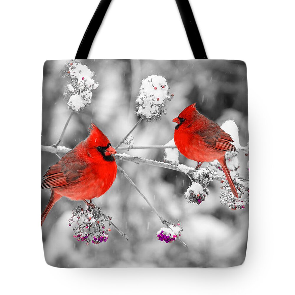 Cardinal Tote Bag featuring the photograph Red Cardinals in the Snow by Anthony Sacco