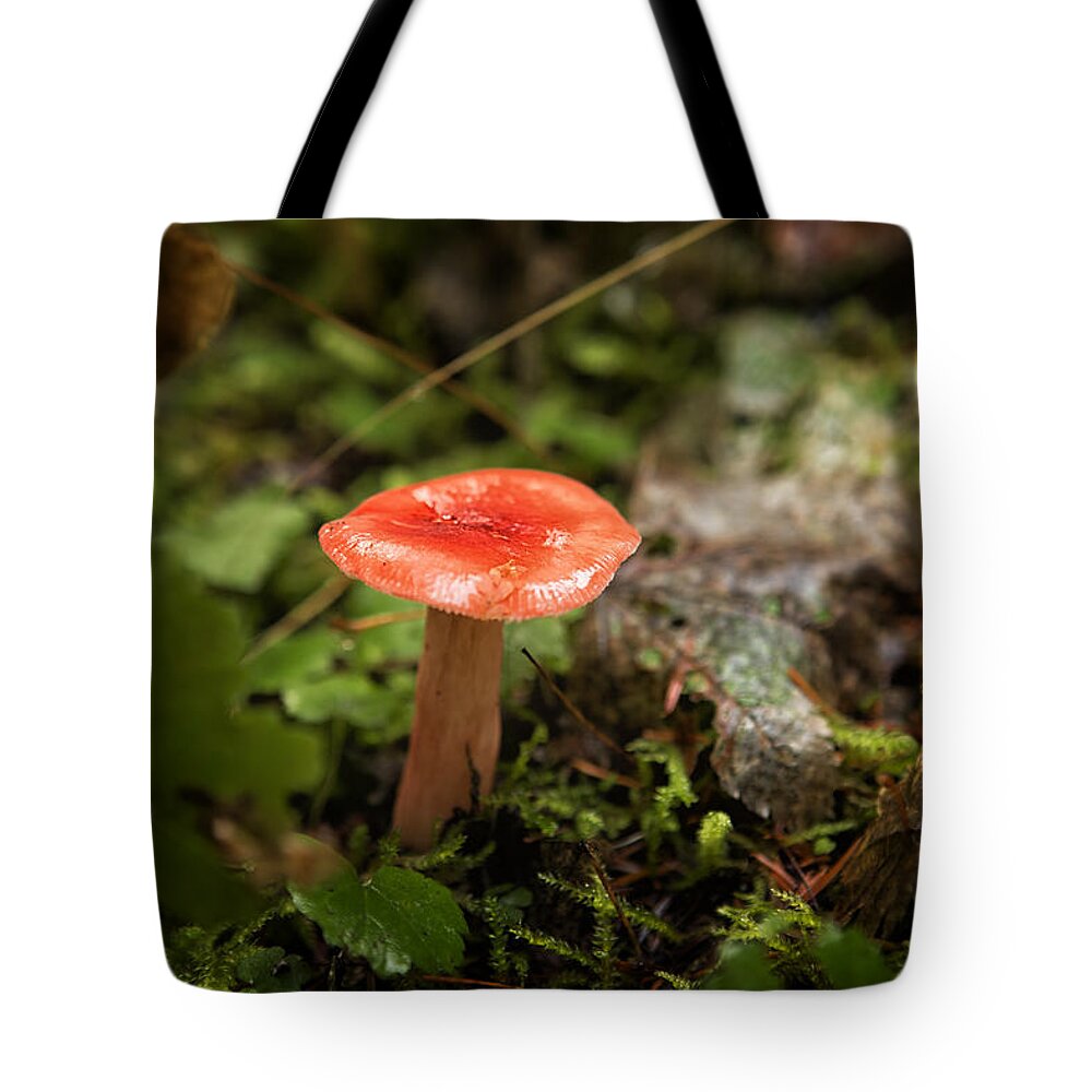 Russula Emetica Tote Bag featuring the photograph Red Coral Mushroom by Belinda Greb
