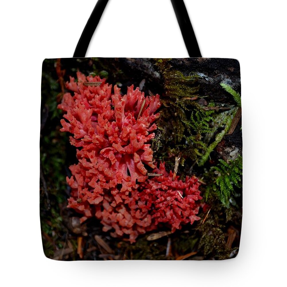 Red Coral Mushroom Tote Bag featuring the photograph Red Coral Mushroom by Laureen Murtha Menzl