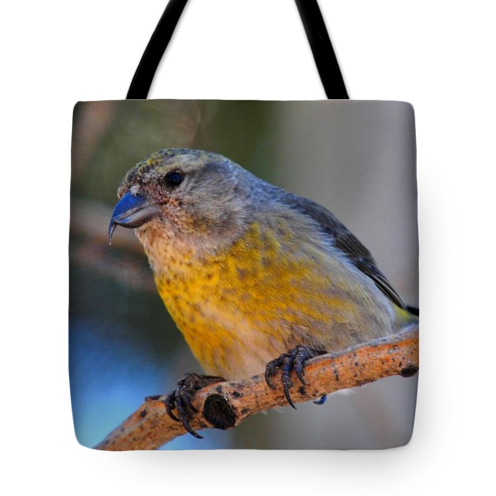 Colorado Tote Bag featuring the photograph Red Crossbill female by Marilyn Burton