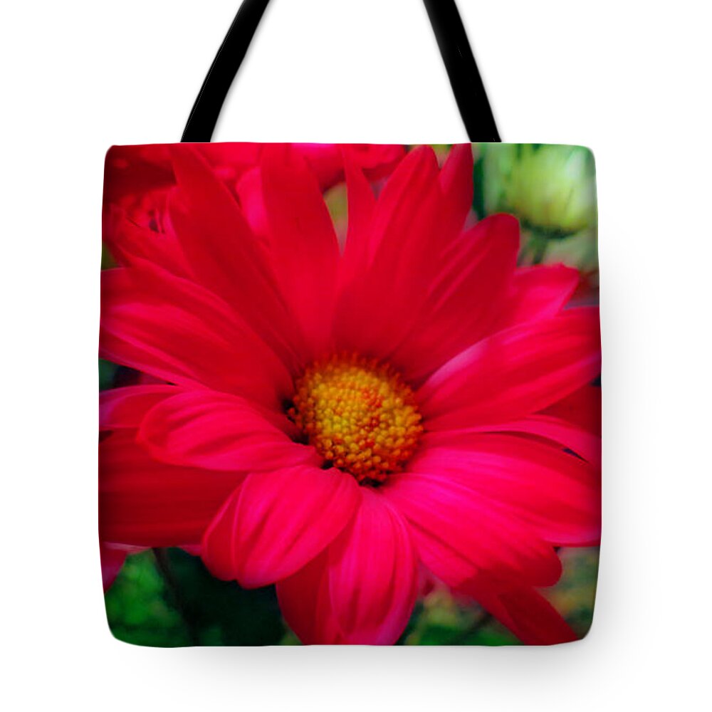 Red Daisies Tote Bag for Sale by Kay Novy