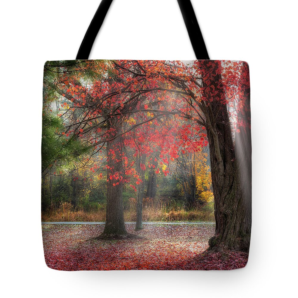 Fog Tote Bag featuring the photograph Red Dawn Square by Bill Wakeley