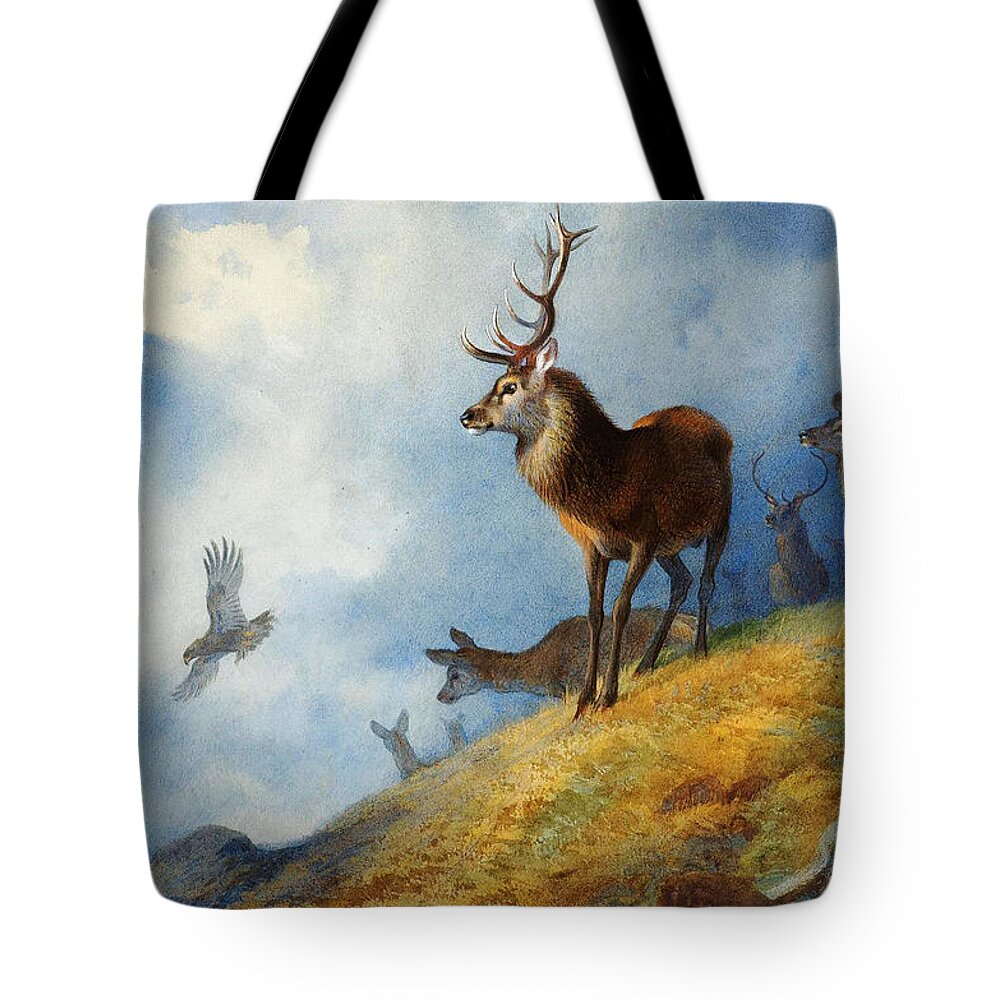 Archibald Thorburn - Red Deer Watching A Golden Eagle Hunt Tote Bag featuring the painting Red Deer Watching A Golden Eagle Hunt by Celestial Images