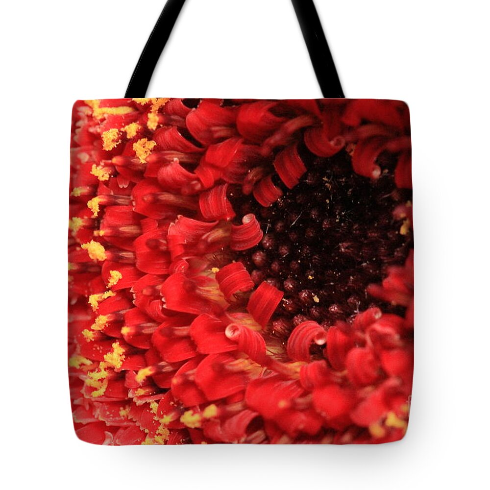 Gerbera Tote Bag featuring the photograph Red Flower Macro by Amanda Mohler