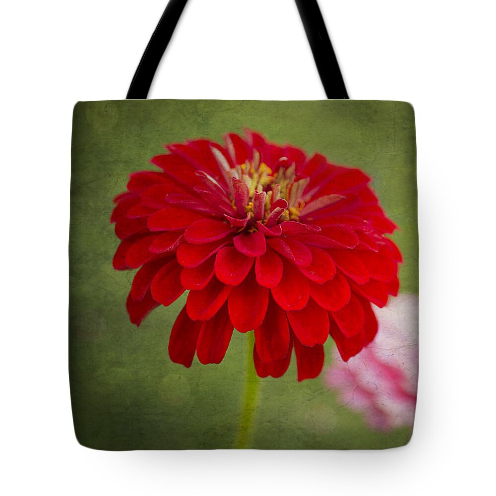 Zinnia Flower Tote Bag featuring the photograph Red Glow by Marina Kojukhova