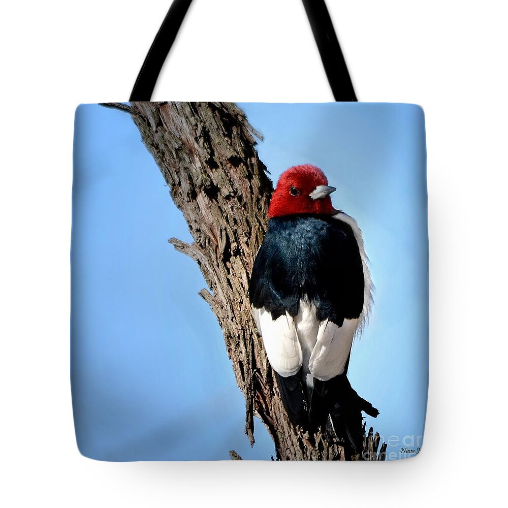Nature Tote Bag featuring the photograph Red-headed Woodpecker by Nava Thompson