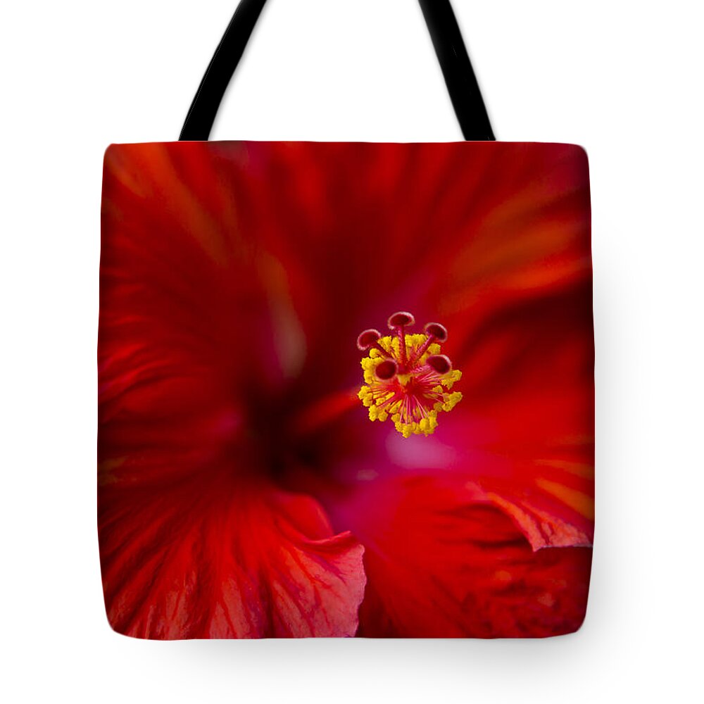 Red Tote Bag featuring the photograph Red Hibiscus by Eduard Moldoveanu