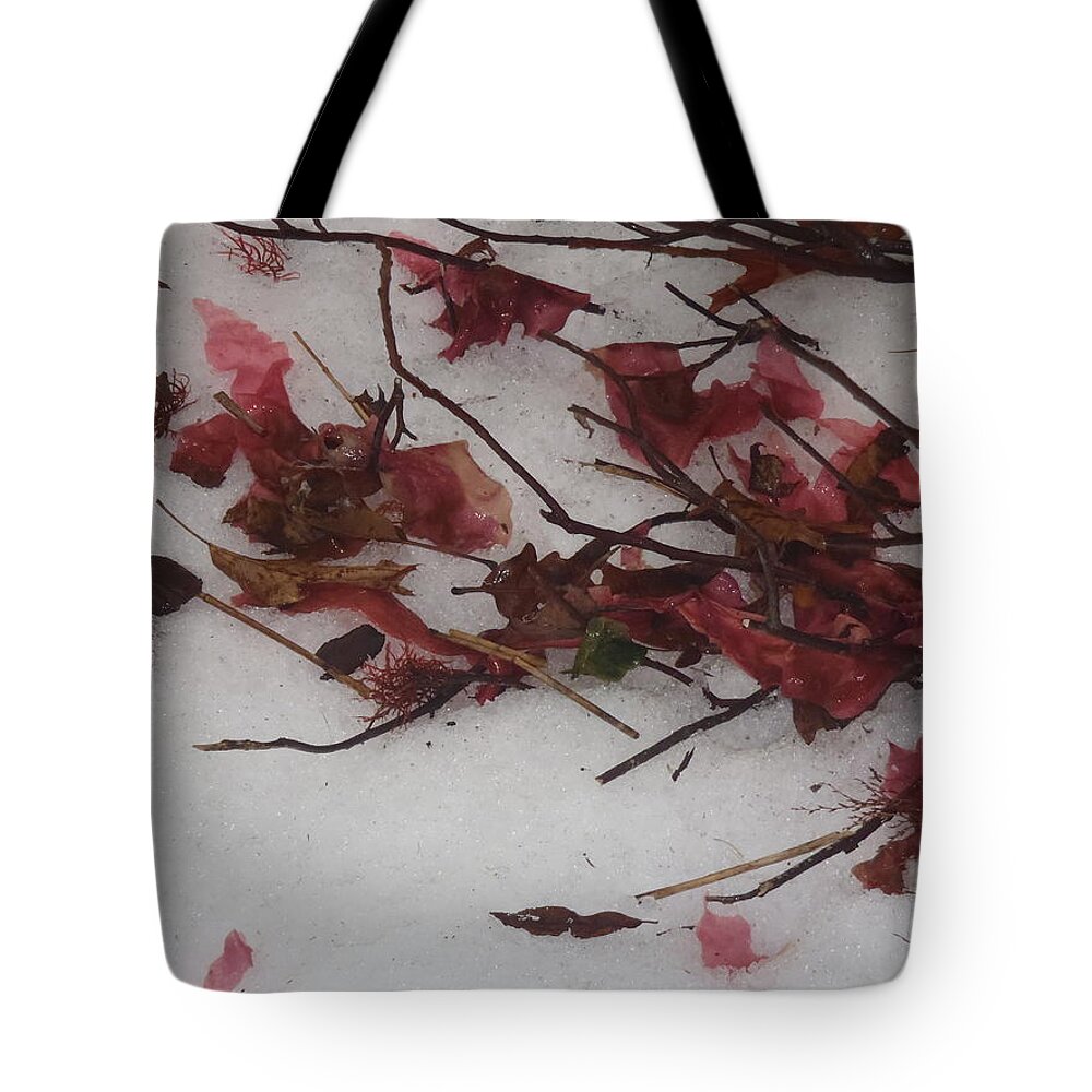 Seaweed Tote Bag featuring the photograph Red in Winter by Robert Nickologianis
