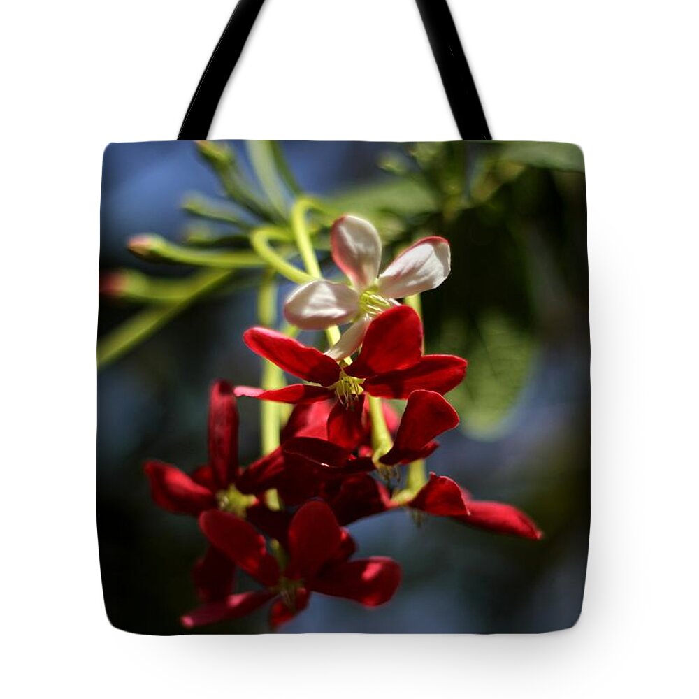 Red Flower Tote Bag featuring the photograph Red Jasmine Blossom by Ramabhadran Thirupattur