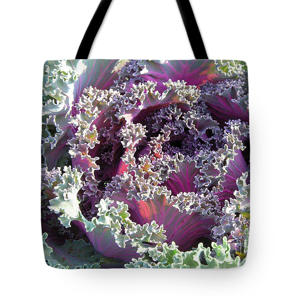 Vegetable Tote Bag featuring the photograph Red Kale by Mariarosa Rockefeller