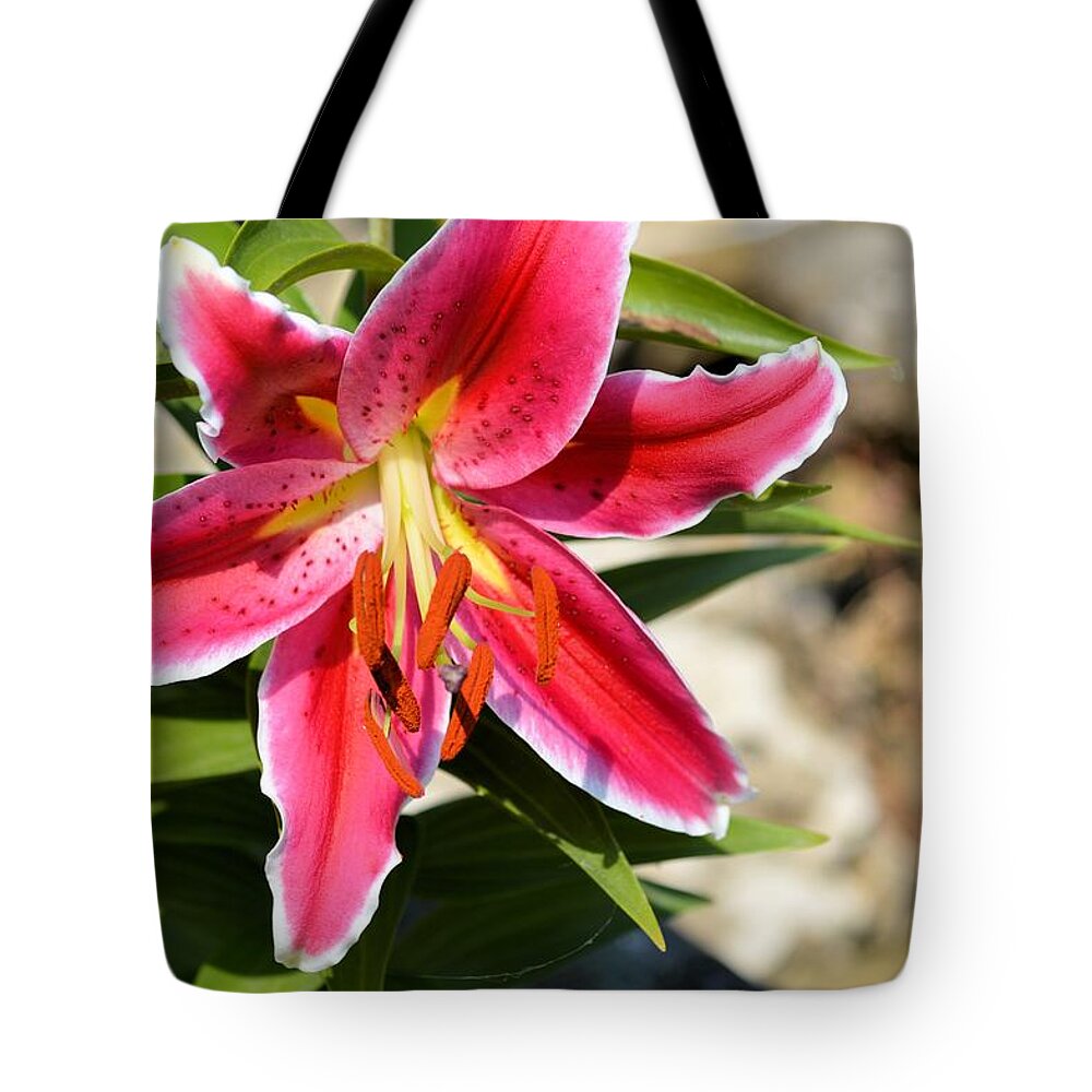 Flower Tote Bag featuring the photograph Red Lilly 8095 by Bonfire Photography