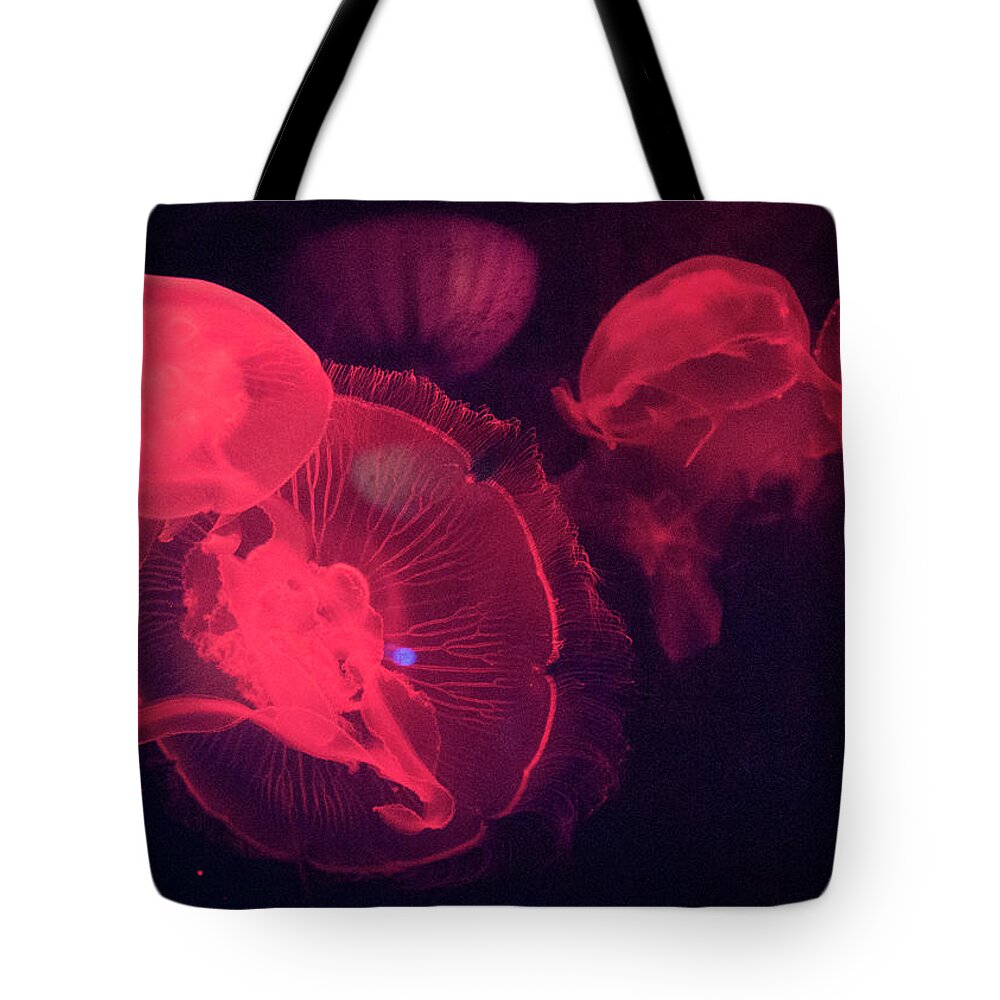 Underwater Tote Bag featuring the photograph Red Lit Jellyfish by This Image Is Available To You Through Getty Images
