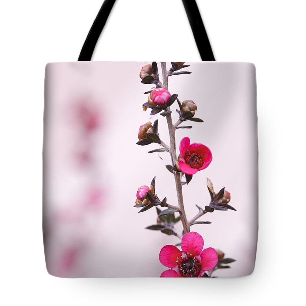 Red Tote Bag featuring the photograph Red New Zealand Tea tree macro by Ken Brown