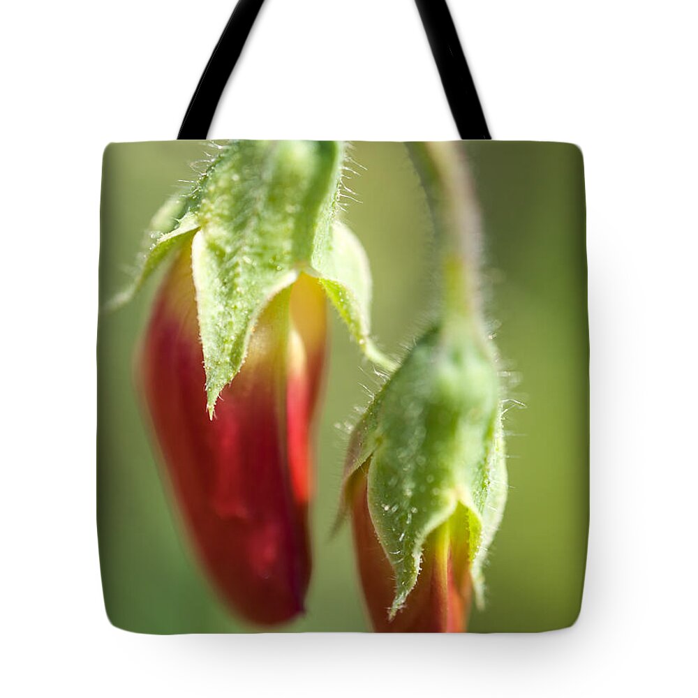 Iris Holzer Richardson Tote Bag featuring the photograph Red Pea Buds by Iris Richardson