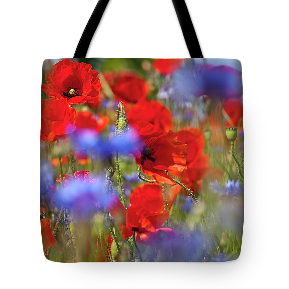 Poppy Tote Bag featuring the photograph Red Poppies in the Maedow by Heiko Koehrer-Wagner