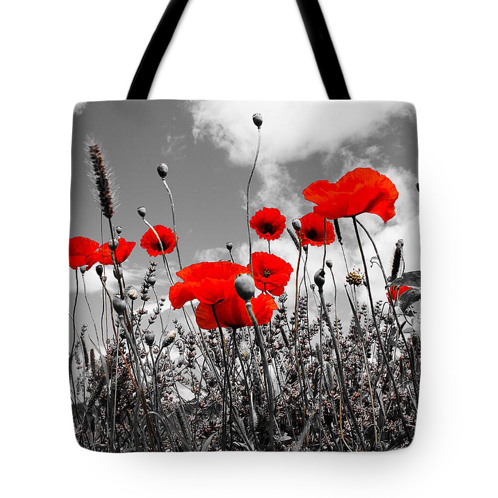 Red Poppies On White And Black Background Tote Bag featuring the photograph Red Poppies on black and white background by Dany Lison