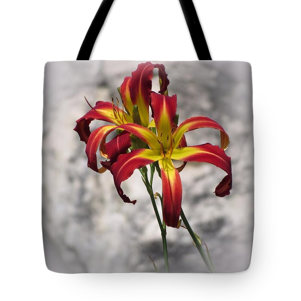 Red Ribbons Daylilies Tote Bag featuring the photograph Red Ribbons by MTBobbins Photography