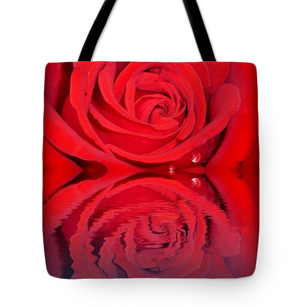 Red Rose Reflects Tote Bag featuring the photograph Red Rose Reflects by Susan Garren