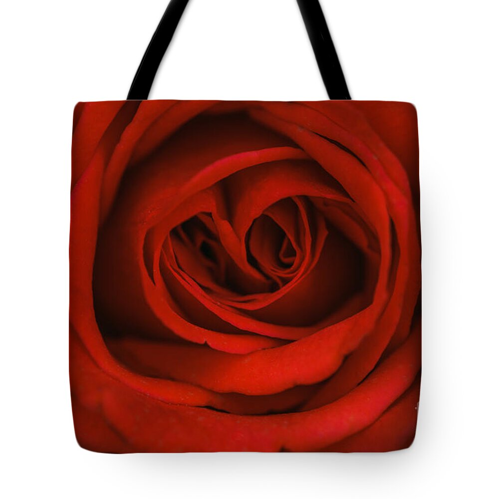 Red Rose Tote Bag featuring the photograph Red Rose by Tamara Becker