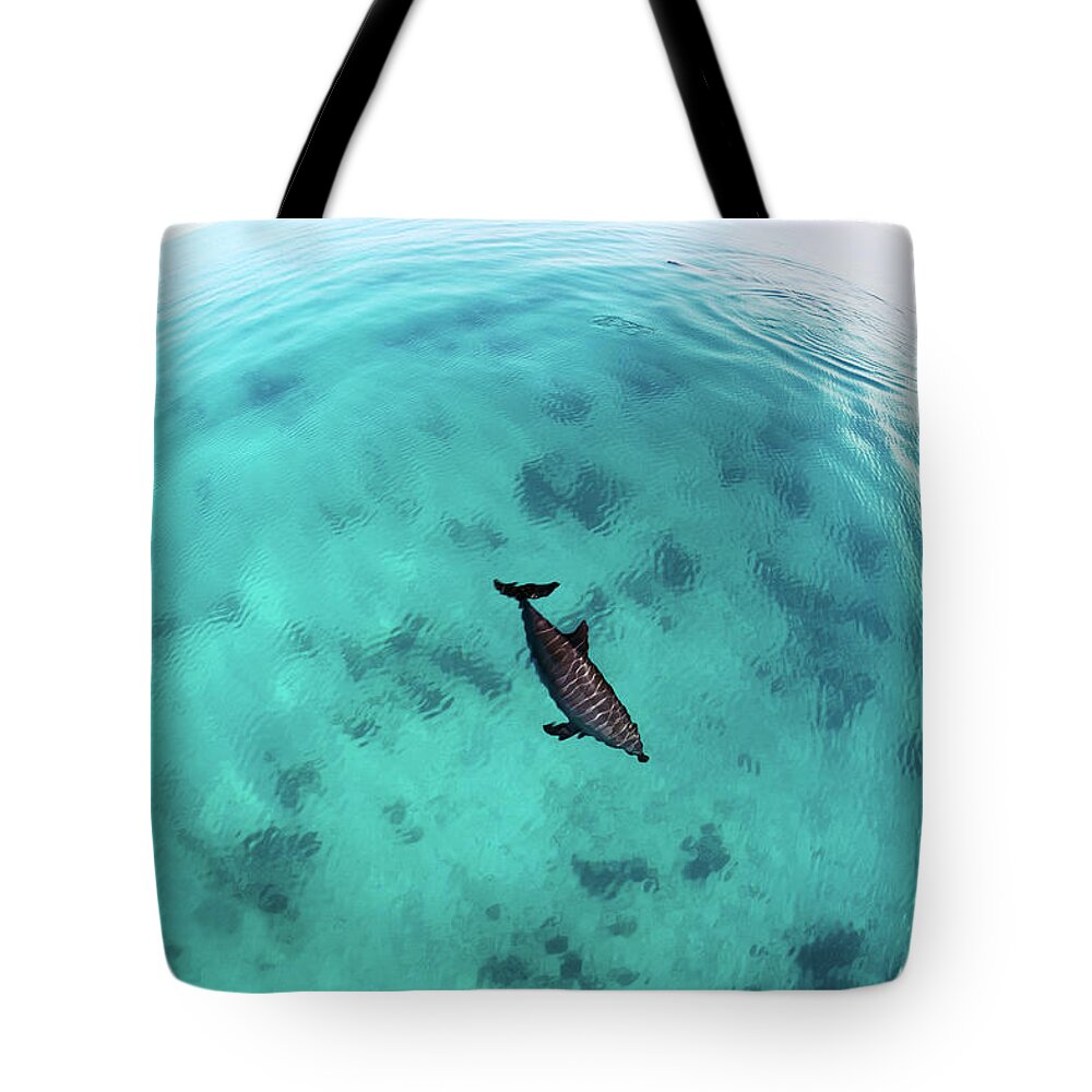 Scenics Tote Bag featuring the photograph Red Sea Bottlenose Dolphin by Aristotoo