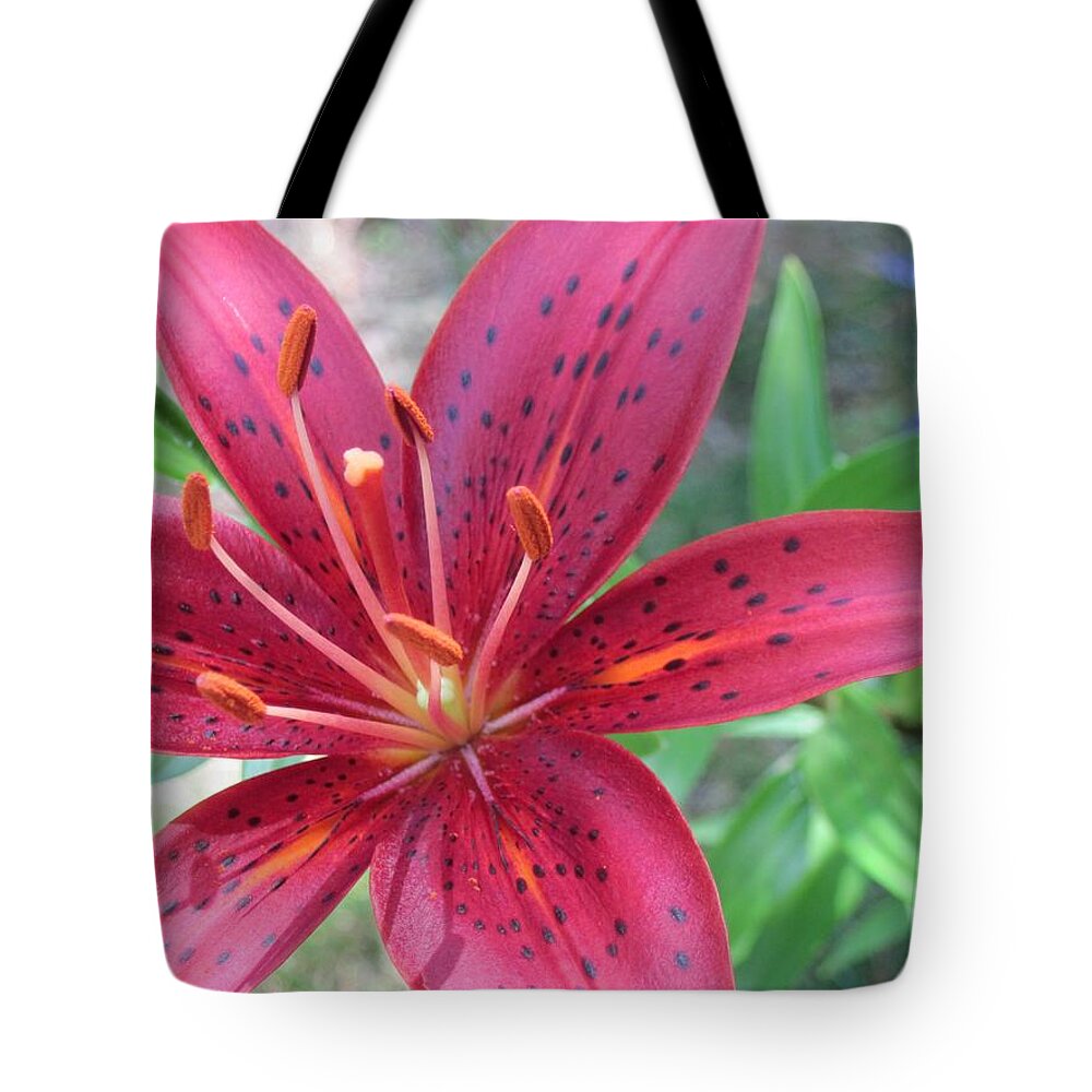 Red Lily Tote Bag featuring the photograph Red Tiger Lily Close-Up 6 by Doug Morgan