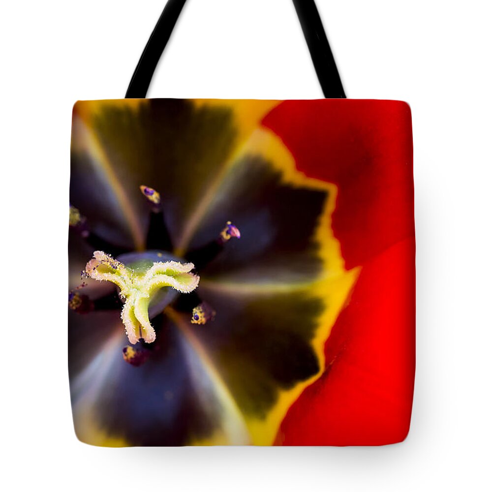 3scape Photos Tote Bag featuring the photograph Red Tulip Macro by Adam Romanowicz