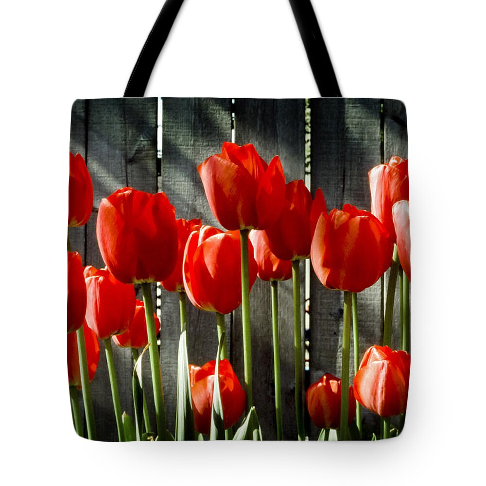 Red Tulips Tote Bag featuring the photograph Red Tulips by Kelley King