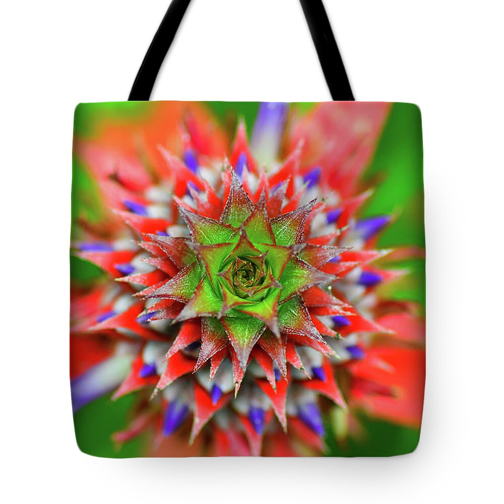 Outdoors Tote Bag featuring the photograph Red White And Blue by Sergio Quesada Photography